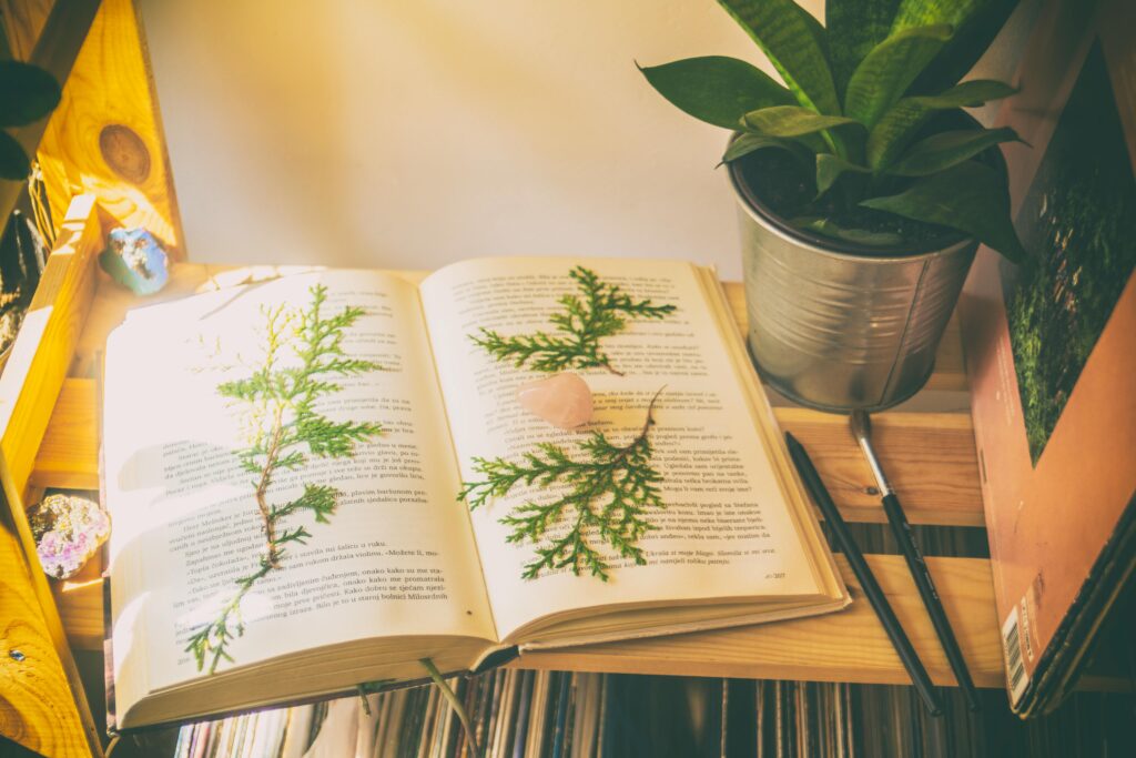 Green leaves on top of open book near paint brush and green snake plant on pot